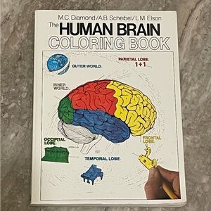 Human Brain Coloring Book